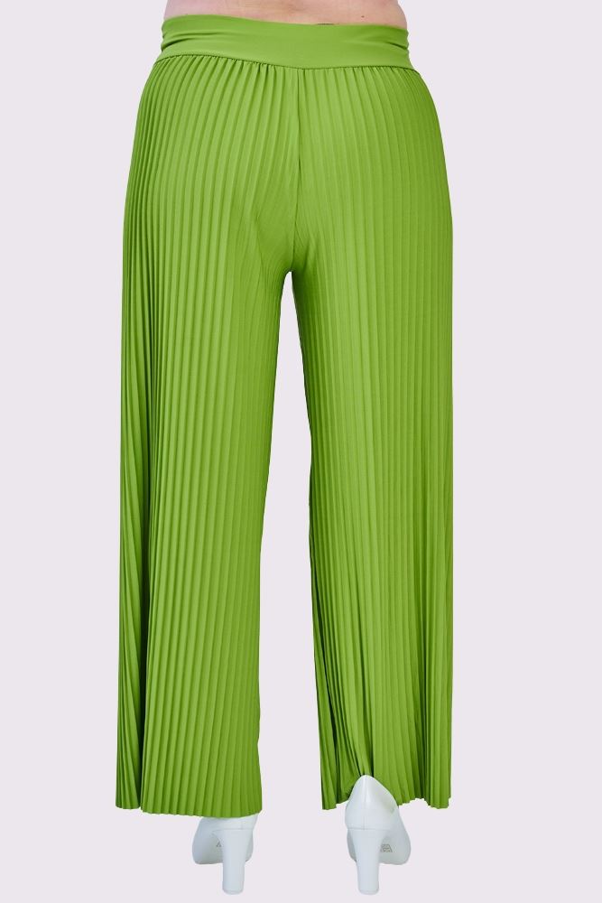 Pleated Elasticated Waistband Wide Leg Trousers